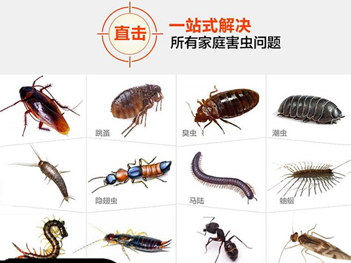 有害生物防治